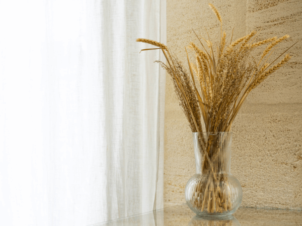 Ch. Médoquine - ET6A6281-23 octobre 2025-Studio-Hey Ch. Médoquine - ET6A6281-23 octobre 2025-Studio-Hey