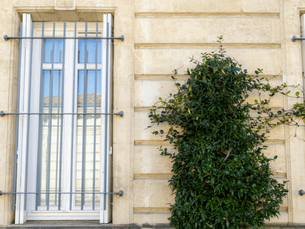 Extérieur - ET6A6178-23 octobre 2025-Studio-Hey Extérieur - ET6A6178-23 octobre 2025-Studio-Hey