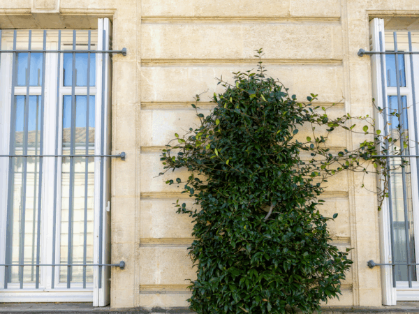 Extérieur - ET6A6178-23 octobre 2025-Studio-Hey Extérieur - ET6A6178-23 octobre 2025-Studio-Hey