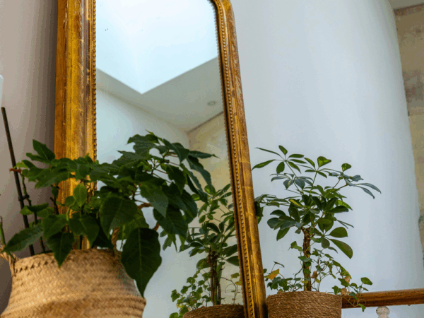 Palier - ET6A6280-23 octobre 2025-Studio-Hey Palier - ET6A6280-23 octobre 2025-Studio-Hey