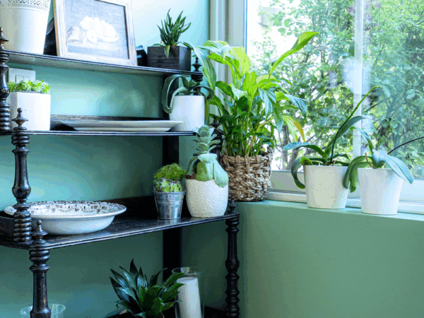 Salle pdj - ET6A6276-23 octobre 2025-Studio-Hey Salle pdj - ET6A6276-23 octobre 2025-Studio-Hey