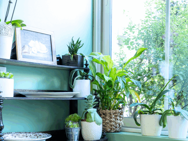 Salle pdj - ET6A6276-23 octobre 2025-Studio-Hey Salle pdj - ET6A6276-23 octobre 2025-Studio-Hey